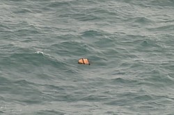 Lika-liku Kru Hercules TNI AU Temukan Jasad dan Serpihan AirAsia
