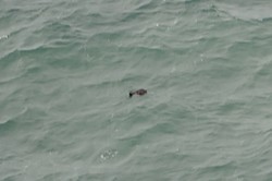 Rumah Sakit di Pangkalan Bun Siagakan 60 Personel dan 24 Ambulans