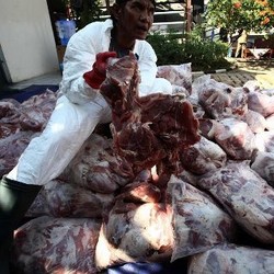 Penyelundupan Daging Celeng Melonjak 340%
