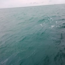 Terserak Pula Dasi Hitam, Botol, dan Kaleng Spray