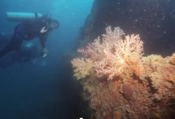 4 Tujuan Baru di Kepulauan Seribu untuk Rayakan Tahun Baru