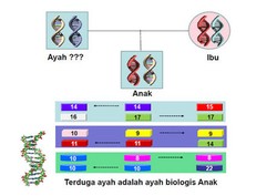 Melihat Kecocokan DNA Jenazah Korban dengan Orang Tuanya