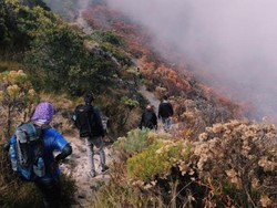 Menelusuri Sisi Mistis Gunung Lawu