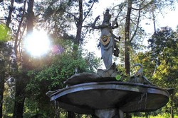 Terpesona Dewi Cantik di Kaki Gunung Lawu