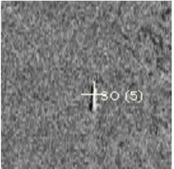 Ini Gambar Serpihan AirAsia Sepanjang 9 Meter yang Baru Ditemukan