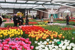 28 Hari Keliling Eropa, Bisa!