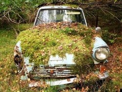 40 Tahun Ditinggal di Hutan, Mobil Ini Ditemukan Kembali Pemiliknya