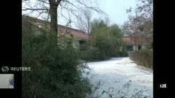 Da Bao Koma, Feng Feng Kritis, Zhu Zhu Selamat