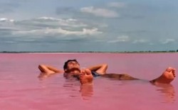 Cute! Ini Dia 8 Keajaiban Alam Berwarna Pink (1)