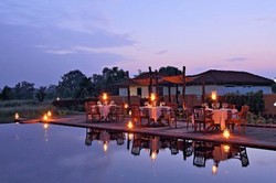 Wajib Coba! 8 Tur Safari Terbaik untuk 2015 (2)