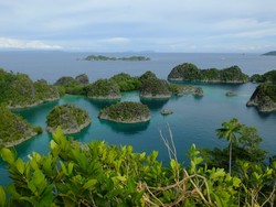 Surga Kedua di Raja Ampat: Piaynemo