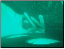 Melihat Lebih Jelas Ekor QZ8501 di Dasar Lautan, Ini 10 Penampakannya