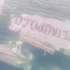 Pesawat Jatuh di Selandia Baru, 13 Orang Selamat Terjun dengan Parasut