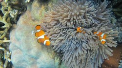 Selayar, Tempat Asyik Wisata Pantai di Sulawesi Selatan