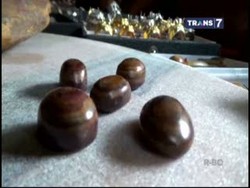 Mengenal Batu Akik Fosil Kayu Jati Tuban yang Bertuah