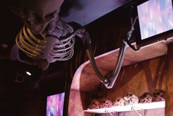 Ngeri! Ini Dia Bar Paling Horor di Tokyo