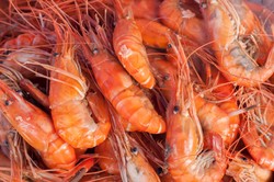 Memasak Udang Agar Renyah dan Manis