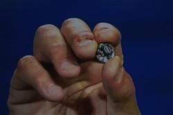 Intel Pamerkan Chip Mungil untuk Wearable