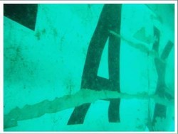 Alasan Basarnas Tak Pakai Pinger Detector untuk Cek Black Box di Bagian Ekor