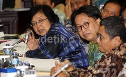 Menhut akan Selidiki Jajarannya yang Terlibat dengan Mafia Hutan