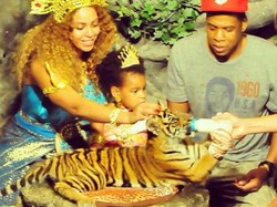 Kunjungi Atraksi Bayi Harimau di Thailand, Beyonce Dikecam