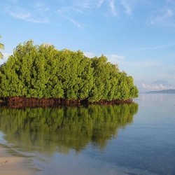 Menteri Susi Ingin 70% Wilayah Laut RI Jadi Kawasan Konservasi
