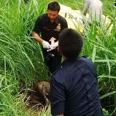 Sesosok Mayat Membusuk Ditemukan di Pinggir Rel Kereta