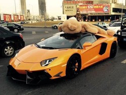 Lambo Aventador Ini Jadi Tempat Tidur Teddy Bear Raksasa