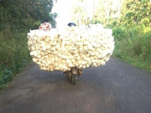 Pengendaranya di Mana?