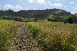 Cerita Bukit Kuntilanak di Puncak Darma, Sukabumi