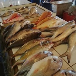 Pedagang Akui Aksi Menteri Susi Bikin Kenaikan Harga Ikan Lebih Jinak