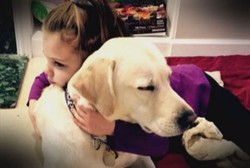 Sering Kejang Karena Sakit Langka, Kye Ditenangkan Anjing Terlatih