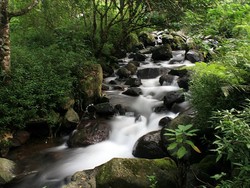 Brrr... Sejuk dan Dinginnya Air Sungai Cibereum