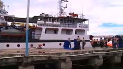 Inilah Penampakan Ekor Pesawat AirAsia QZ8501