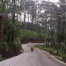 Nama Bupati Jadi Jalan, Humas: Itu Usulan Warga