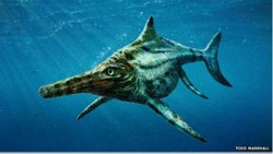 Spesies Reptil Laut Baru Ada di Skotlandia