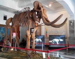 Hai Traveler, Siasati Hujan dengan 5 Kegiatan Seru Ini Yuk!