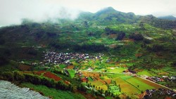 Keindahan Gunung Prau yang Tertutup Kabut