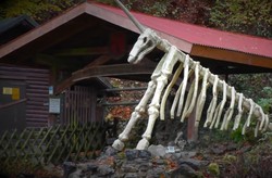Ternyata Ada Gua Unicorn di Jerman