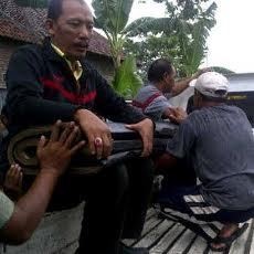 Alquran Raksasa Dievakuasi ke MUI Sidoarjo, Rumah Anang Sepi Warga