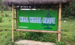 Traveling Bareng Keluarga ke Maduin, Datangi Wana Wisata Grape