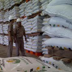 85.443 Pupuk Bersubsidi Siap Diedarkan di Wilayah Jatim