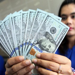 BI: Tahun Ini Tahunnya Dolar