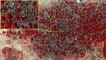 Gambar Satelit Perlihatkan Kehancuran akibat Boko Haram