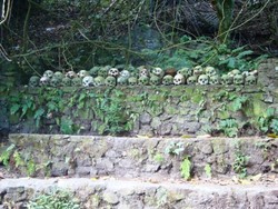 Trunyan, Kuburan dengan Tradisi Paling Unik di Bali