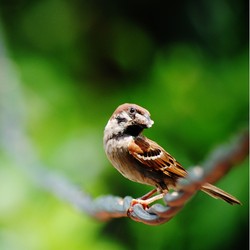 Santai Sejenak,sambil Santap siang.