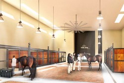 Amerika Bakal Bikin Terminal Bandara Khusus Hewan