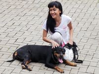 Anjing Rottweiler Manja-manjaan dengan Jupe