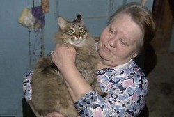 Dibuang dan Kedinginan, Bayi Malang ini Diselamatkan Kucing Liar