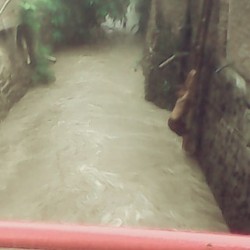 Seorang Bocah Selamat Setelah Hanyut di Sungai di Semarang